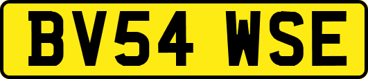 BV54WSE