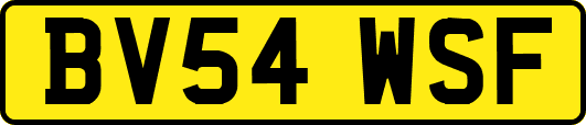 BV54WSF