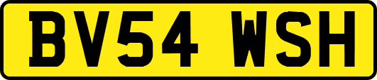 BV54WSH