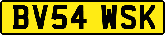 BV54WSK