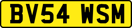 BV54WSM