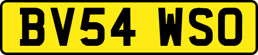 BV54WSO
