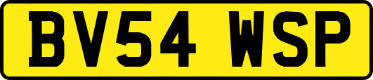 BV54WSP