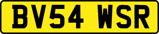 BV54WSR