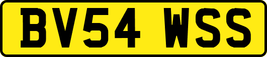 BV54WSS