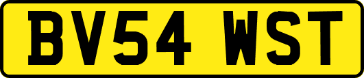 BV54WST