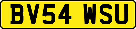 BV54WSU