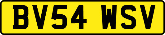 BV54WSV