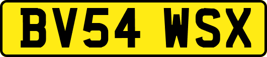 BV54WSX