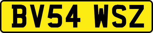 BV54WSZ