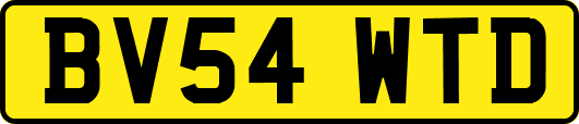 BV54WTD