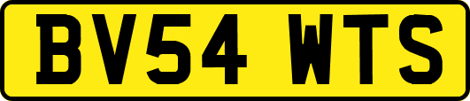 BV54WTS