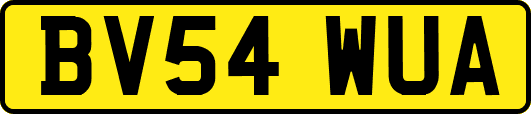 BV54WUA