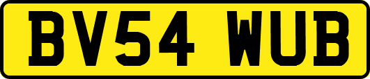 BV54WUB