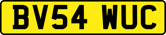 BV54WUC
