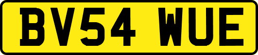 BV54WUE