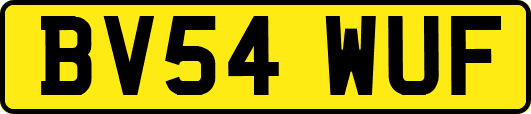 BV54WUF