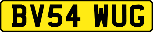 BV54WUG