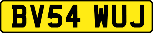 BV54WUJ