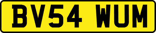 BV54WUM