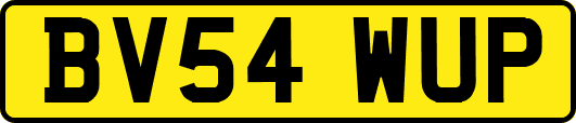 BV54WUP