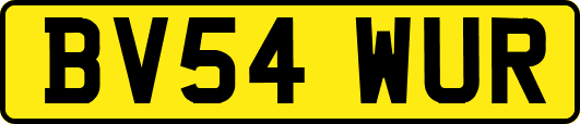 BV54WUR