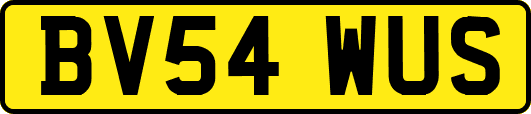 BV54WUS