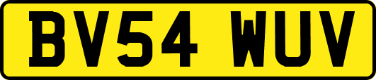 BV54WUV