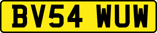 BV54WUW