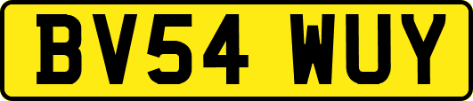 BV54WUY