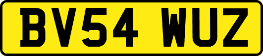 BV54WUZ
