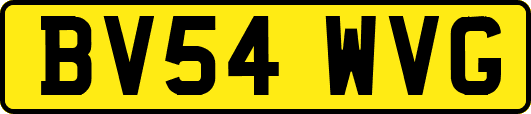 BV54WVG