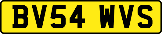BV54WVS