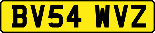 BV54WVZ