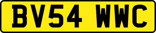 BV54WWC