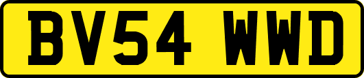 BV54WWD