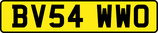 BV54WWO