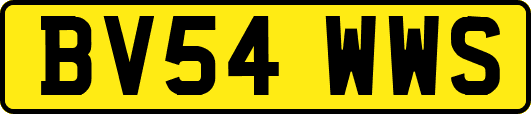 BV54WWS