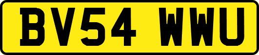 BV54WWU