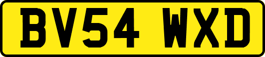 BV54WXD