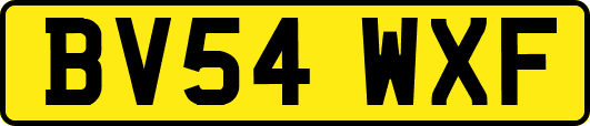 BV54WXF