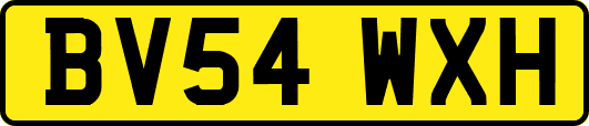 BV54WXH