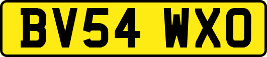 BV54WXO