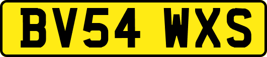 BV54WXS