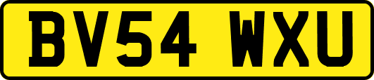 BV54WXU