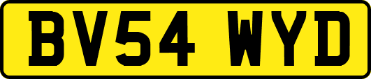BV54WYD