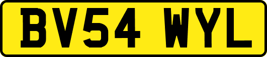 BV54WYL