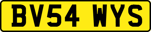 BV54WYS