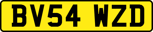 BV54WZD