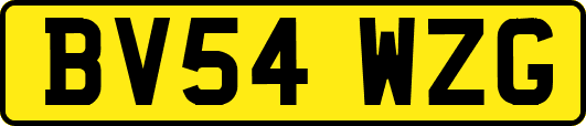 BV54WZG